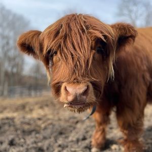 Meet your Posher, Aubrey